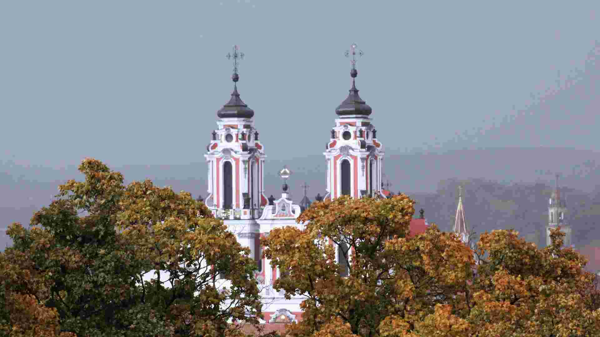 Wine tasting in vineyard